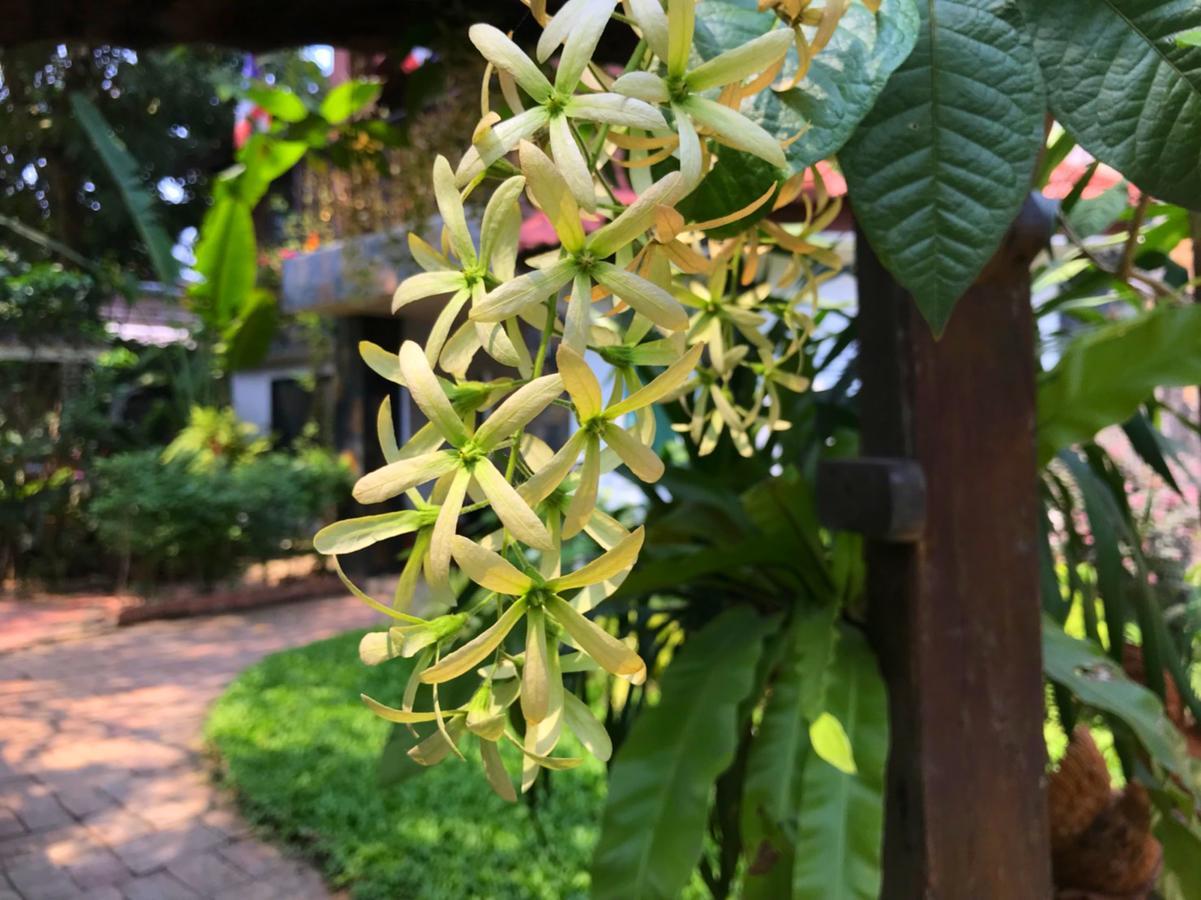Moradok Thai Guesthouse Аюттхая Экстерьер фото